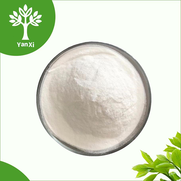 Xanthan Gum Powder Bulk Xanthan Gum Powder Bulk